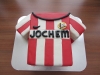 PSV shirt